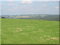 Farmland east of Salmon Field