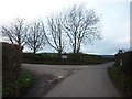 A minor road junction near Branches Farm