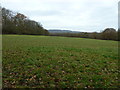 View north from the top of Oakwood Hill near Okewood Hill