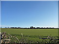 TA0184 : Farmland east of Stoney Haggs Road by Christine Johnstone