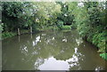 River Medway downstream from Cannon Lane Bridge