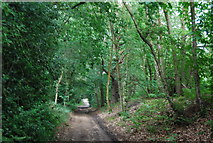 SU8329 : Sussex Border Path by N Chadwick