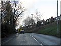 Climbing to Newtonia, Middlewich