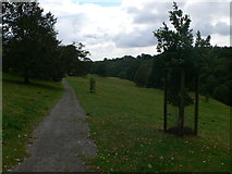 SJ3165 : Path through the Castle Park, Hawarden by Eirian Evans