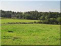 Farmland and woodland around Stotsfold Hall