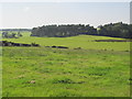 Farmland and woodland south of Stotsfold Hall