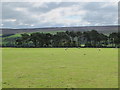 Pastures and woodland west of White Hall