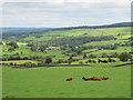 Farmland southwest of Hackford