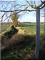 Footpath to Verdons Lane