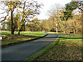 The road through Santon Downham village