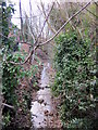 Chad Brook From Nursery Road Bridge Harborne