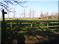 TM2775 : Footpath to the B1116 Laxfield Road by Geographer