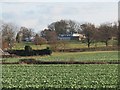 Crop fields by Pinnock Lane