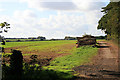 Field and track with woodpile