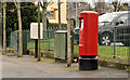 Pillar box, Holywood