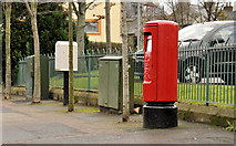 J3979 : Pillar box, Holywood by Albert Bridge