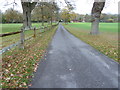 Tree lined bridleway to Furzen Lane