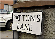 J3979 : Patton's Lane, Holywood (2) by Albert Bridge