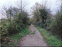 TL1962 : Path in Paxton Pits Nature Reserve by PAUL FARMER