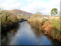 ST1283 : River Taff upstream from a footbridge, Taffs Well by Jaggery