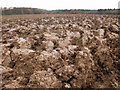 A churned-up muddy field near to Little Hampden