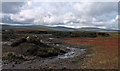 NY7634 : Peat banks and bog near summit of Bellbeaver Rigg by Trevor Littlewood