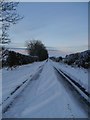 Rural Byway Near Bellshiel