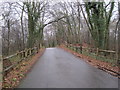 Riseden road through Newland Wood