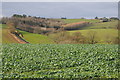 Rolling countryside, Trelleck Grange