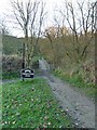 Footpath to Fairbottom Bobs