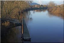 SO8540 : River Severn, Upton upon Severn by Stephen McKay