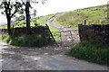 Gateway on Marsett Lane opposite Carr End Farm