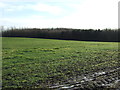 Farmland towards Round Hill