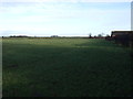 Farmland, Bilton Grange