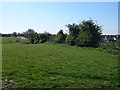 Looking towards Rhuddlan from Cwybr