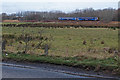 Scotrail Train near Hillhouse