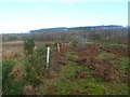 Whitefield Hill, fence