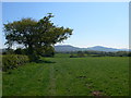 Footpath north of Rhuddlan