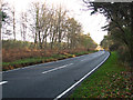 The B1107 road from Thetford to Brandon past Shadwell Estate