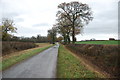SP2595 : A Country lane with very neat hedges by Mick Malpass