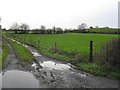 Muddy lane,Carnalea