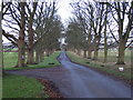 Track to Waller House Farm