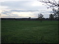 Farmland near Healaugh