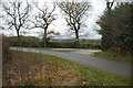 Country Lane at the end of the drive to Kimberley Hall Farm