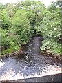 Weir on Rowley Burn at Dye House