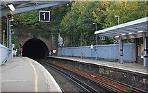 TQ7567 : Fort Pitt Tunnel, Chatham Station by N Chadwick