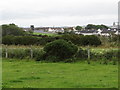 Houses at West Point, Killough, viewed from the Point Road