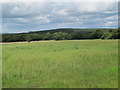 NY9459 : Farmland west of Strothers Wood (2) by Mike Quinn