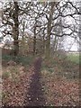 Footpath behind houses of Burghley Road