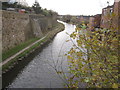 Macclesfield Canal from Richmond Hill bridge